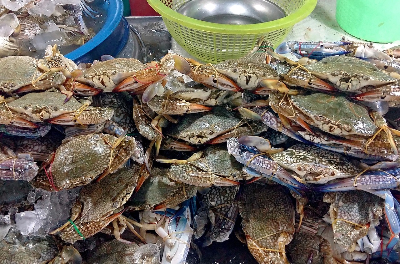 苏州旅游必去十大美食
